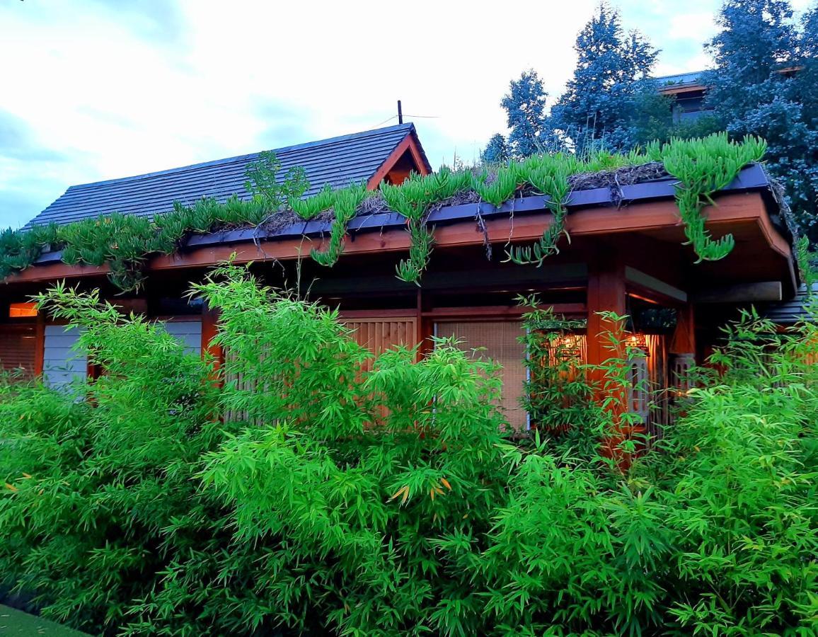 Paradise Private Zen Studios Knysna Eksteriør billede