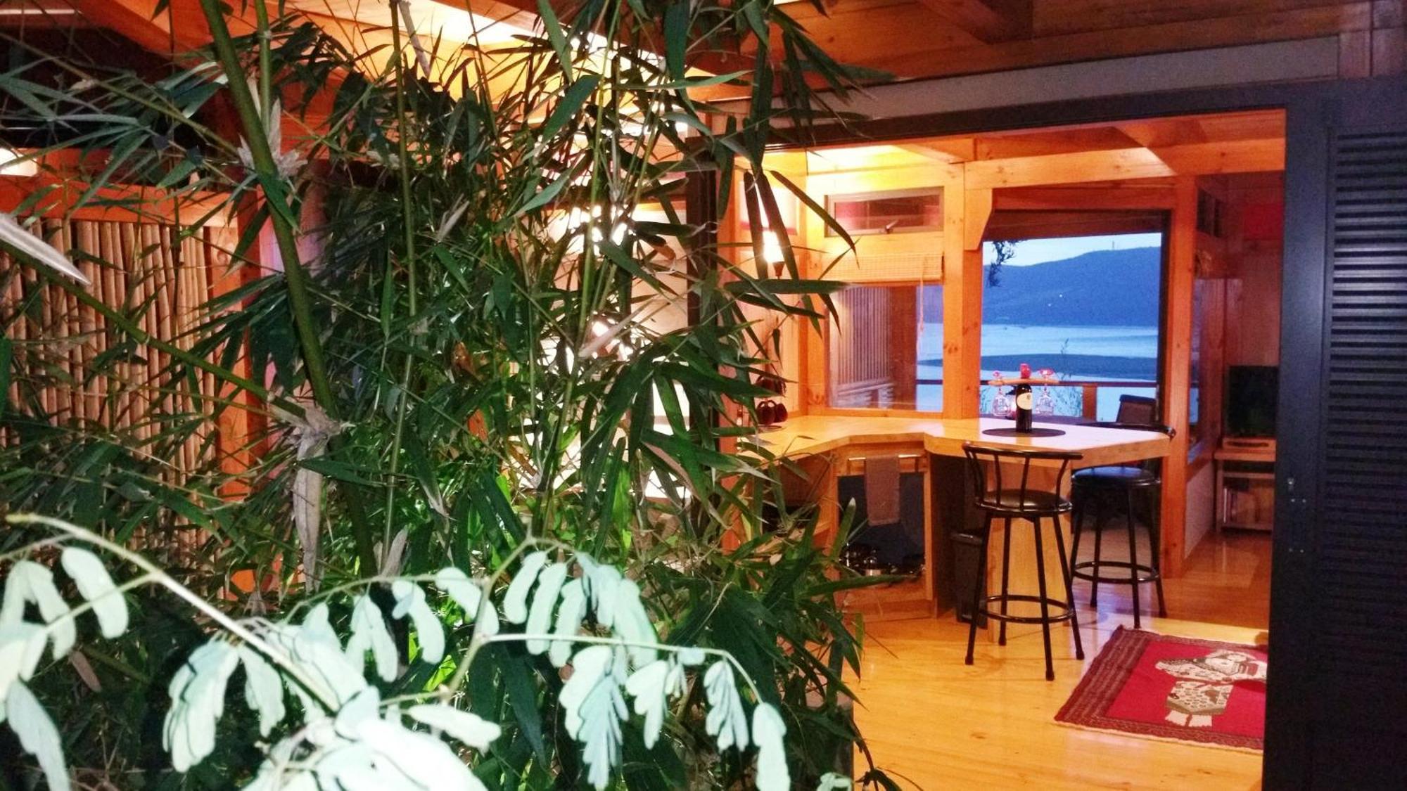 Paradise Private Zen Studios Knysna Værelse billede